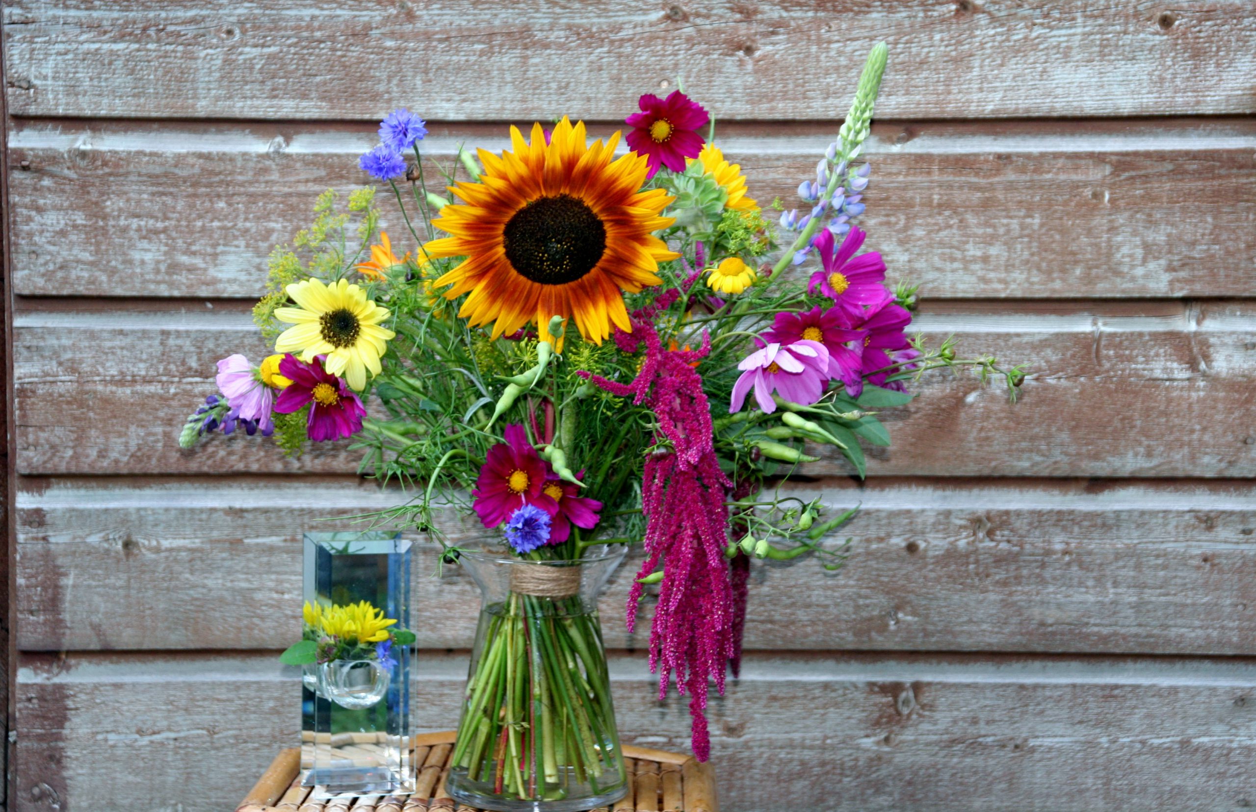 plukboeket met zonnebloem eerste zomerdienst
