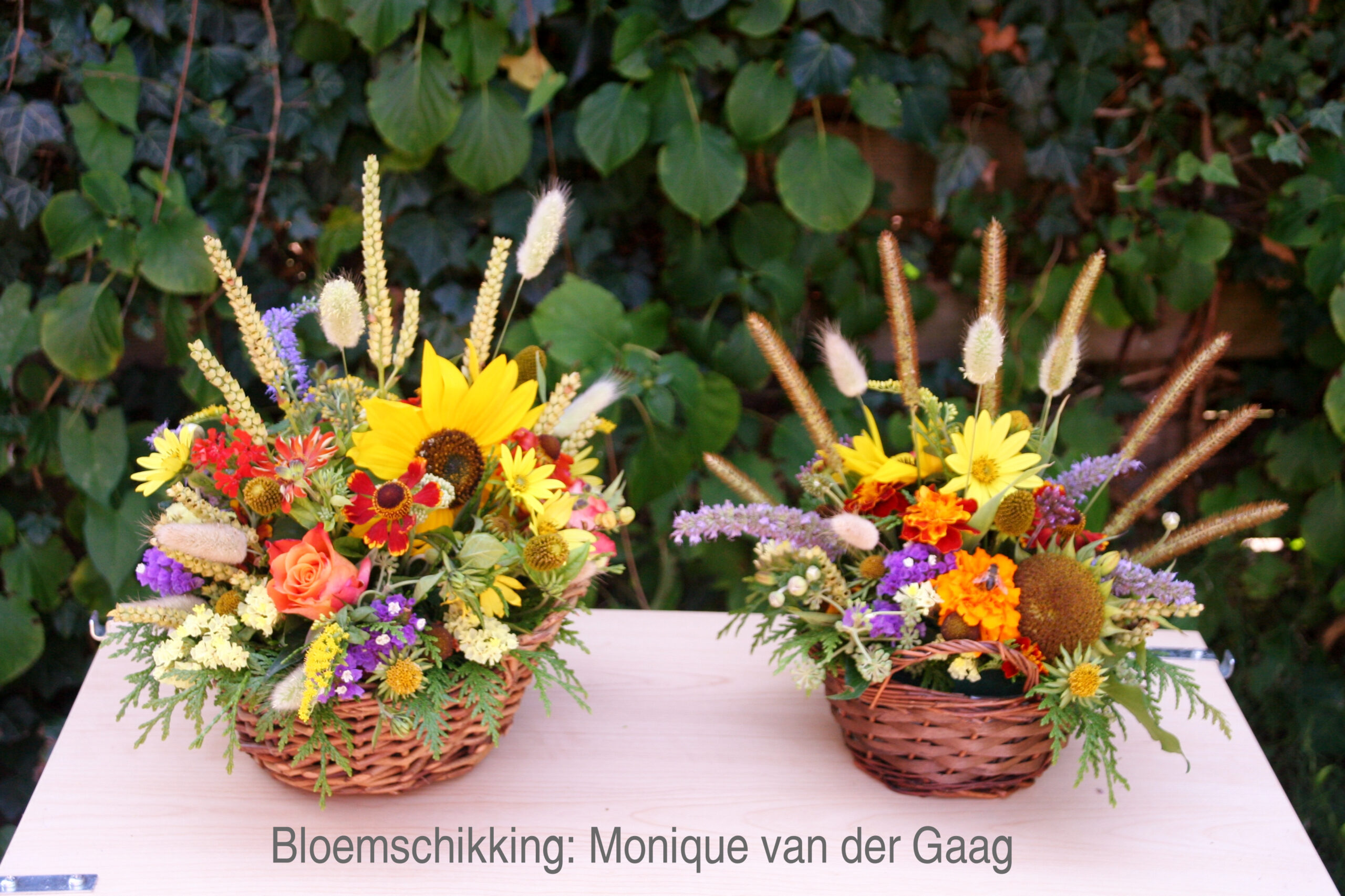 Bloeiende grassen verdragen eerste zomerdienst
