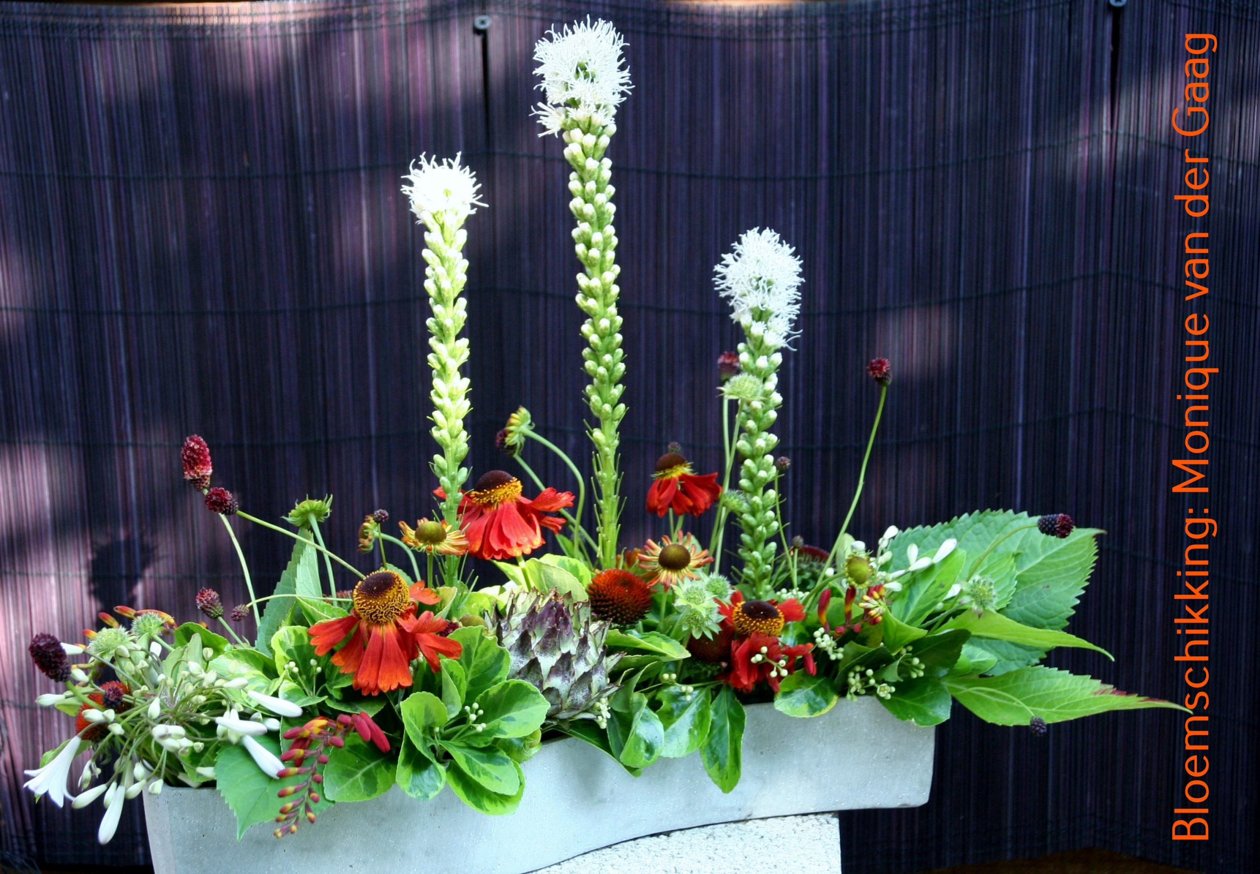 Bloemen helen, woorden verwonden eerste zomerdienst