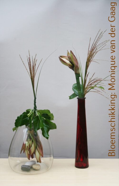 Dogma Amaryllis uitverkoren eerste zomerdienst