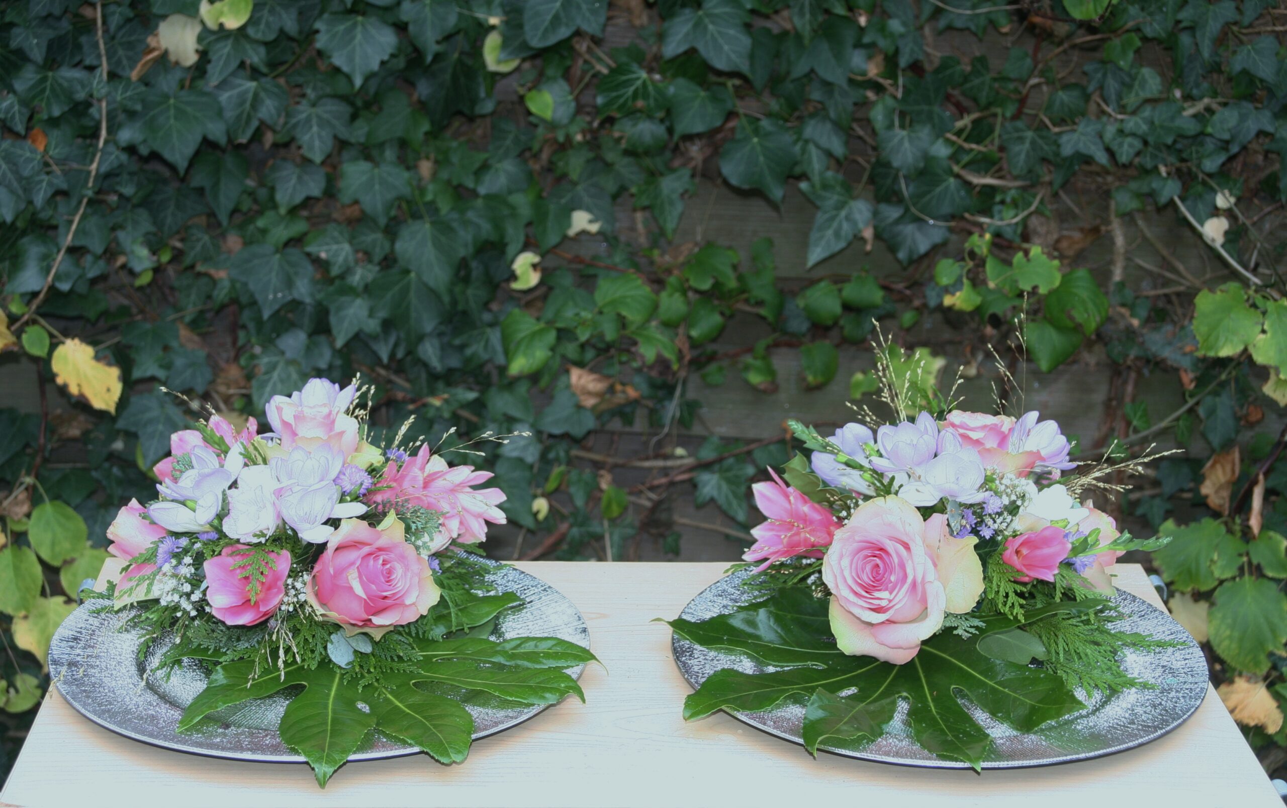 Handvormig blad met tedere rozen eerste zomerdienst