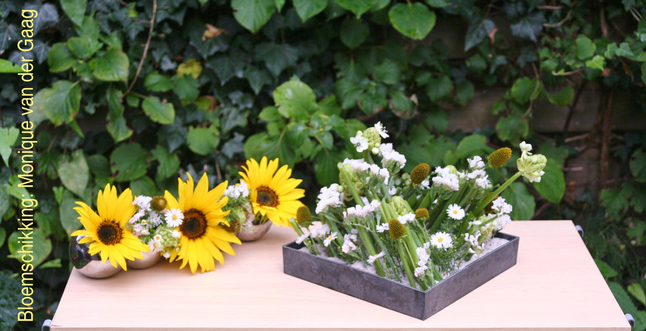 Vrije witte bloemen in zee van groen eerste zomerdienst